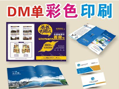 新乡单页印刷，色彩搭配简单。